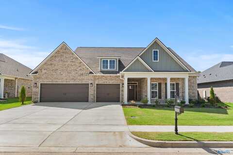 103 Pebblestream Drive, Madison, AL 35756