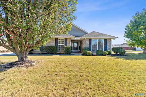 100 Crystal Pond Court NW, Madison, AL 35757