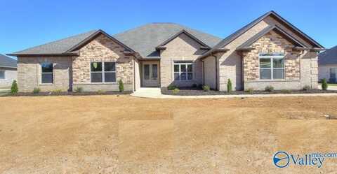 13888 Mallard Drive, Madison, AL 35756