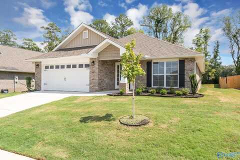 124 Sidney Ruth Drive, New Market, AL 35811