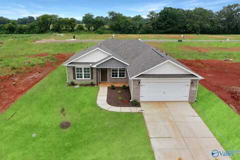 216 Roman Randall Road, New Market, AL 35761