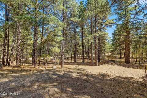 155 E Ski Run Road, Williams, AZ 86046