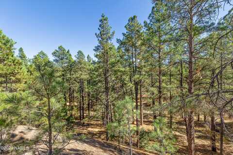 77 E Ski Run Road, Williams, AZ 86046