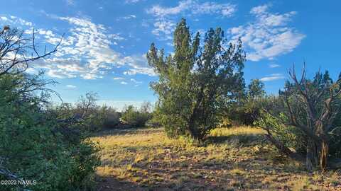 5893 Fire Sky Trail, Williams, AZ 86046