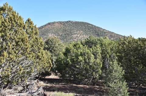 2394 E Clear Point Way, Williams, AZ 86046