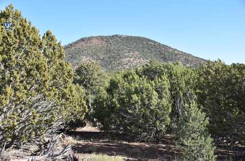 2394 E Clear Point Way, Williams, AZ 86046