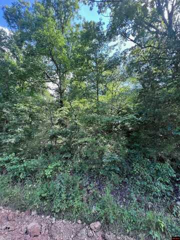 23-0.2-10-000-0 CR 553A, Gainesville, MO 65655
