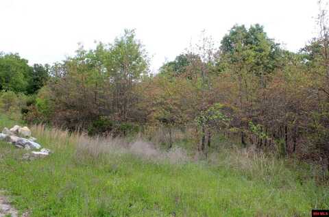 Lot 6 FARMER CIRCLE, Salesville, AR 72653