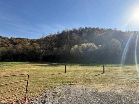 TBD Grass Run Road, Salem, WV 26426