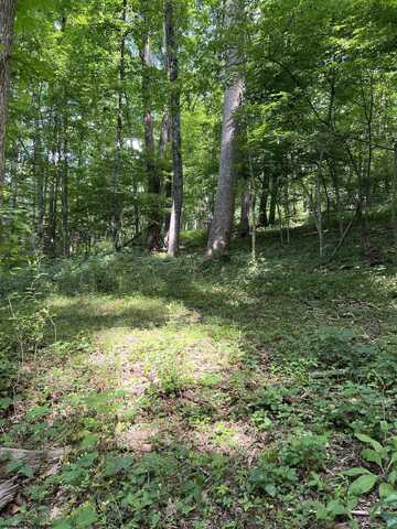 TBD Coplin Run Road, Bridgeport, WV 26330