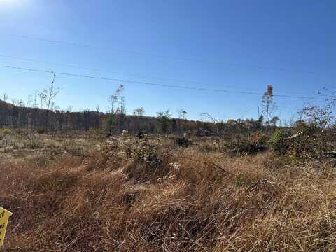 Lot 12 998 Hanlin Road, Bruceton Mills, WV 26525