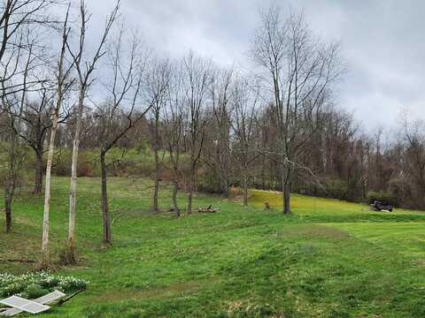 TBD Elk Creek Pike, Mount Clare, WV 26408