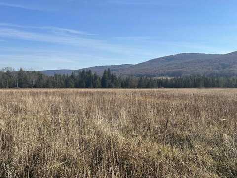 Lot 10 Clear View Lane, Davis, WV 26260