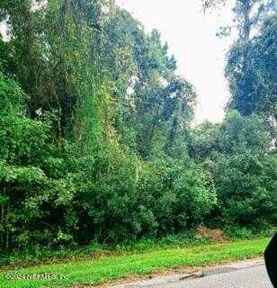 DOCTORS LAKE Drive, Orange Park, FL 32065