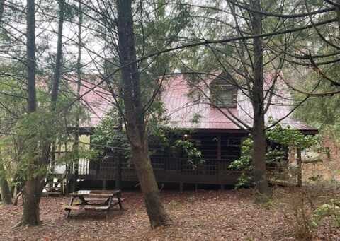 576 Cartecay Cove Lane, Ellijay, GA 30536