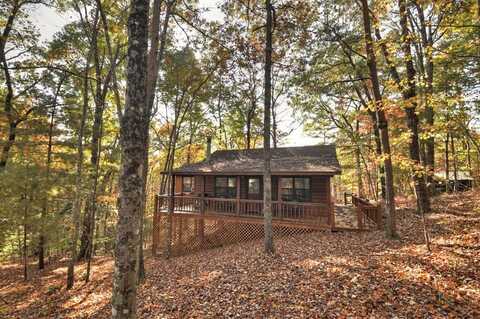 31 Eagle Feather Drive, Cherry Log, GA 30522