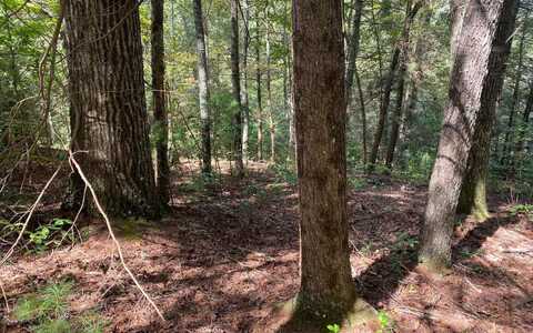 Lot 58 Gobblers Knob, Suches, GA 30572