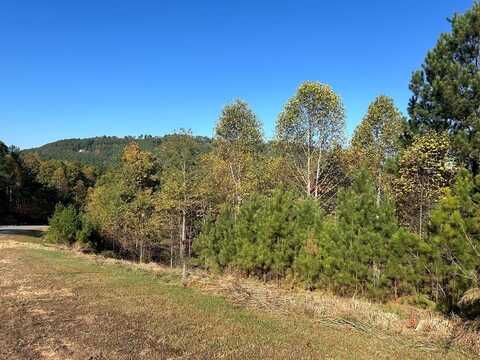 Lot 379 Marshall Rise Road, Blairsville, GA 30512