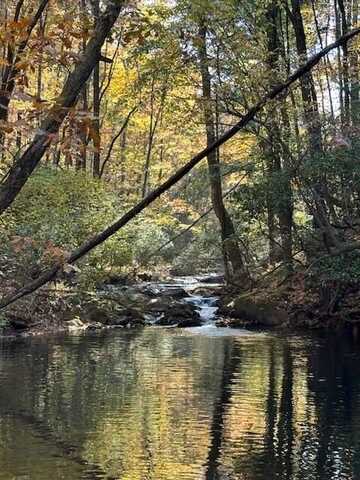 Lot 11 Clear Creek Preserve Way, Ellijay, GA 30536