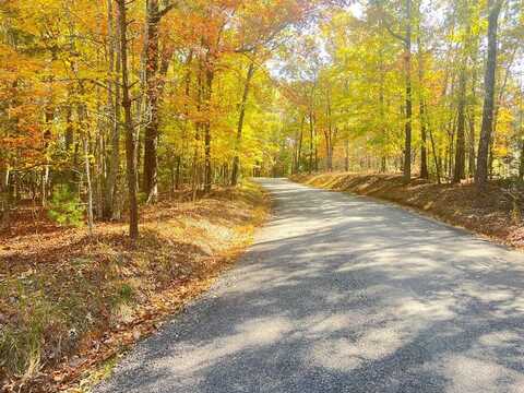 Robert Miller Lane, Mineral Bluff, GA 30559