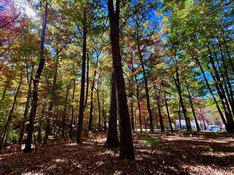 51 Old Birch Bend Court, Blairsville, GA 30512