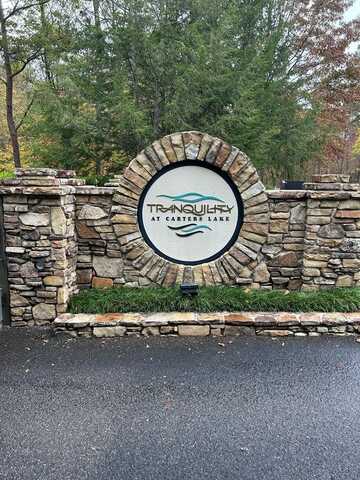 107-108 Harris Creek Drive, Ellijay, GA 30540