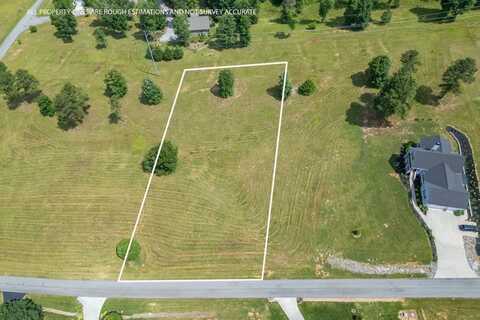 Lot 16 Riverside On Lake Nottely, Blairsville, GA 30512