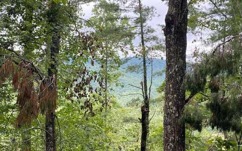 Lot 55 Laurel Trail, Suches, GA 30572