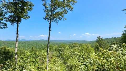 Lot 8 Lookout Valley Trail, Talking Rock, GA 30175