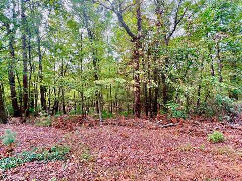 298 Etowah Drive, Ellijay, GA 30540