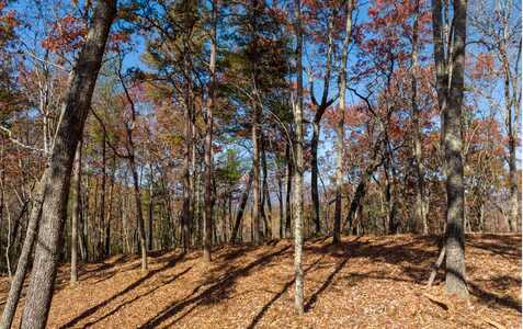 L39 Preserve Trail, Ellijay, GA 30536