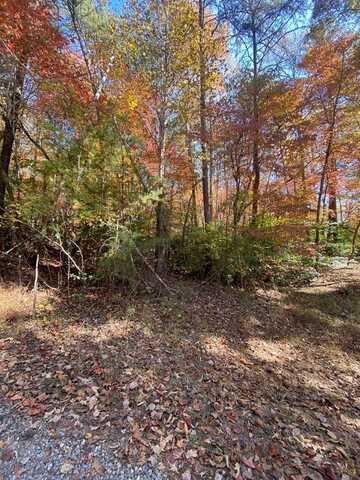 Lot 3 Sharons Valley Drive, Hayesville, NC 29804