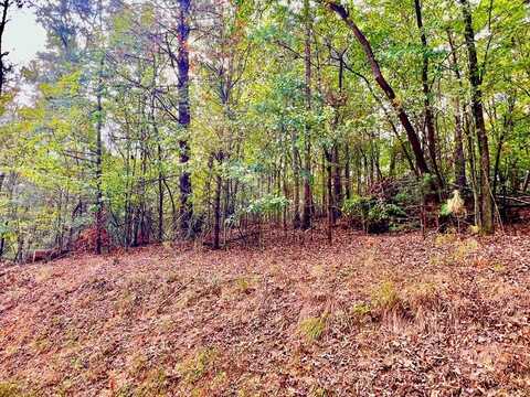 573 Cataula Court, Ellijay, GA 30540