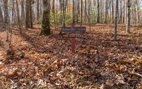 Lot 7 Joseph Anderson Trail, Ellijay, GA 30536