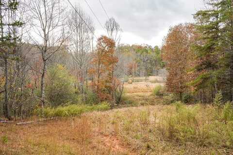 Rizzitello Lane, Blairsville, GA 30512