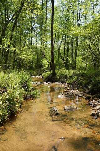 Rizzitello Lane, Blairsville, GA 30512