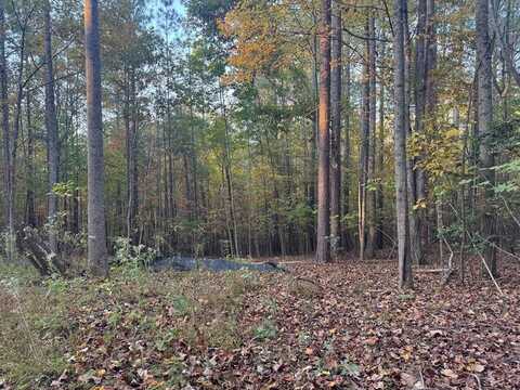 Hall Road, Young Harris, GA 30582