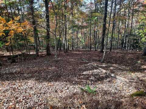 Lot 33 V Addington Road, Blairsville, GA 30512