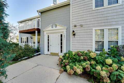 801 Harbor House, Madison, WI 53719