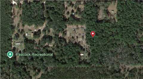 TBD 188TH PLACE, Live Oak, FL 32060