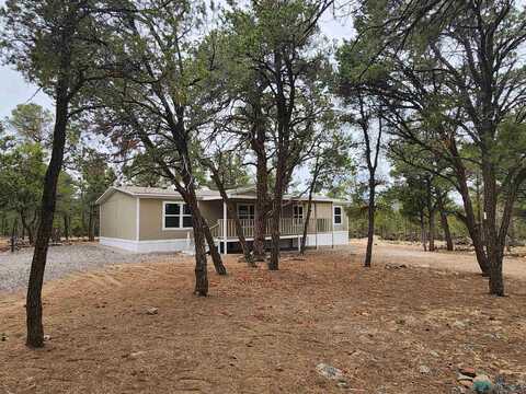 21 Branding Iron Road, Quemado, NM 87829