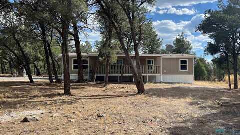 21 Branding Iron Road, Quemado, NM 87829