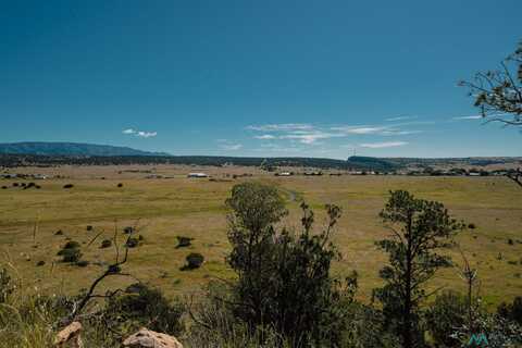 Tbd 246 Highway, Capitan, NM 88316