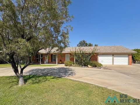 1602 W Ural Drive, Carlsbad, NM 88220