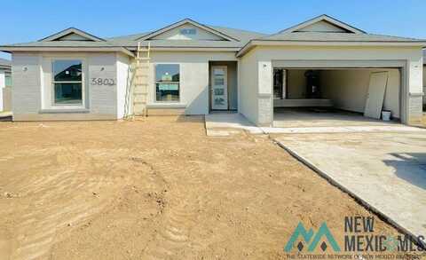 3802 Selman Court, Carlsbad, NM 88220