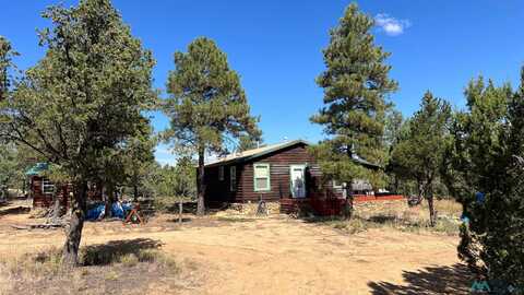 36 Dove Valley Road, Pie Town, NM 87827