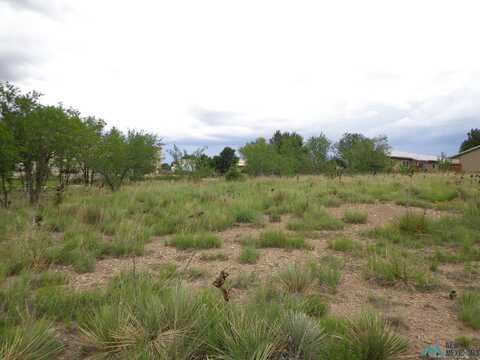 Off Ridge Runner Road, Las Vegas, NM 87701