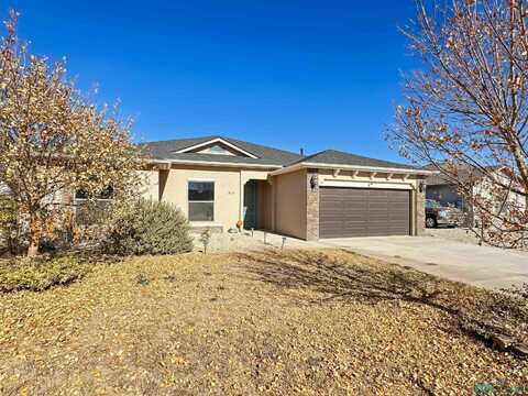 310 Baler Lane, Carlsbad, NM 88220