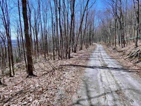 0 Toad Pond Road, Morgan, VT 05853