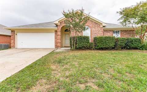 8111 Mosstree Drive, Arlington, TX 76001